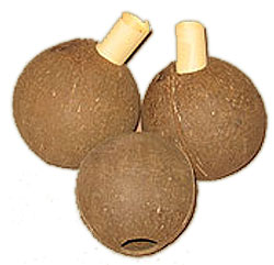 New Hollow Coconuts - the message in a coconut!