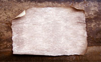 Premade Coconut Label Service Choices
