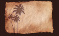 Premade Coconut Label Service Choices