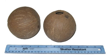 unpainted coconuts for a one-of-a-kind party activity