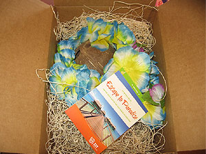 unique promotional products - save the date invitation for a sales incentive trip