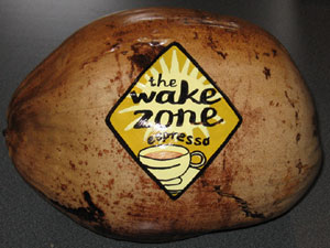 Keep your logo and brand name in front of your client with the eco-friendly corporate sales coconut business advertising specialty gift