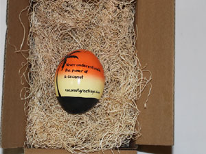 Add excelsior packing to your coconut order