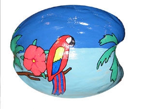 Hand Painted Coconut