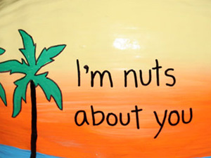  Hand Painted Coconuts are made in the USA
