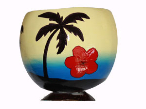 Perfect gift for anyone!  Painted Coconut Cup