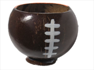 Click to enlarge - Volleyball painted gift coconut