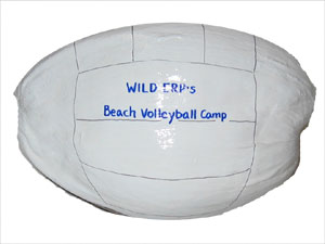 Click to enlarge - Volleyball painted gift coconut