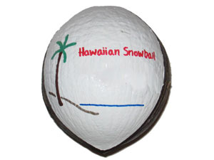 Hollow size Hawaiian Snowball Ornament