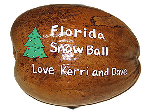 Florida Snowball painted coconut