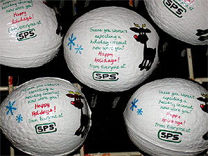 Happy Holidays Painted Coconut 101