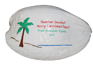 Hawaiian Snowball Painted Coconut 104