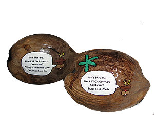 These holiday greetings card coconuts shipped without the box! [Holiday106]