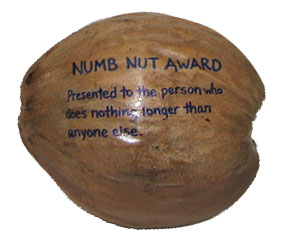Numb Nut Award