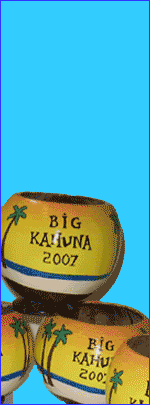 Order hand-painted coconuts for favors, gifts and invitations
