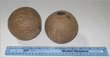 unpainted coconuts for a one-of-a-kind party activity