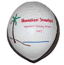 Handpainted tropical Christmas ornaments