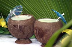 Buy blank coconut cups and put a sticker on or paint!!