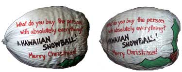 Original and unique Holiday gifts: Send Hawaiian Snowballs!