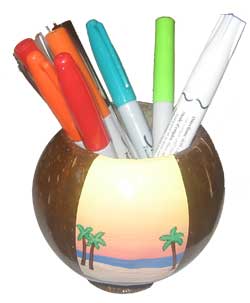 New Painted Coconut Cups