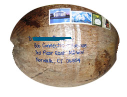 Coconuts can be shipped without a box