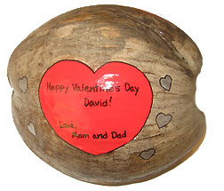 Unusual Valentines Day Gift