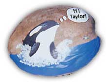 Killer Whale hand-painted on a coconut