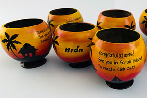 Painted with your logo these coconuts create brand ambassadors