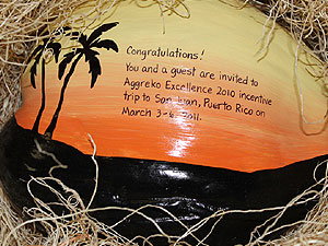 commemorative sales incentive trip gifts