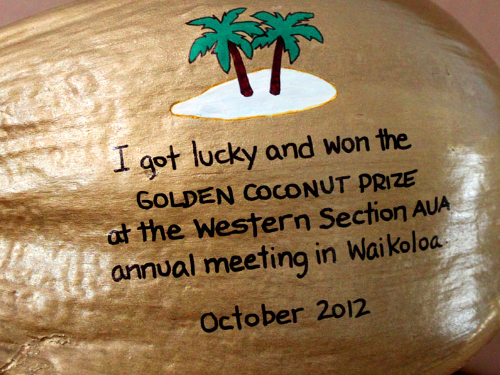 The Golden Coconut Award groundbreaking award