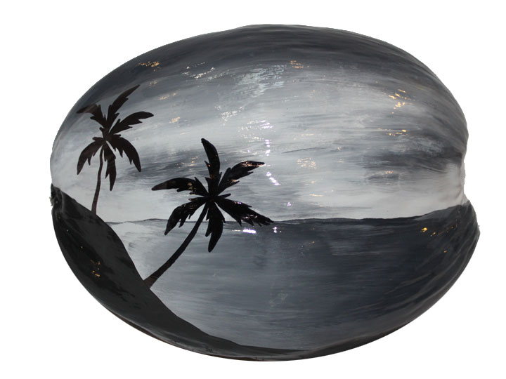 painted coconut
