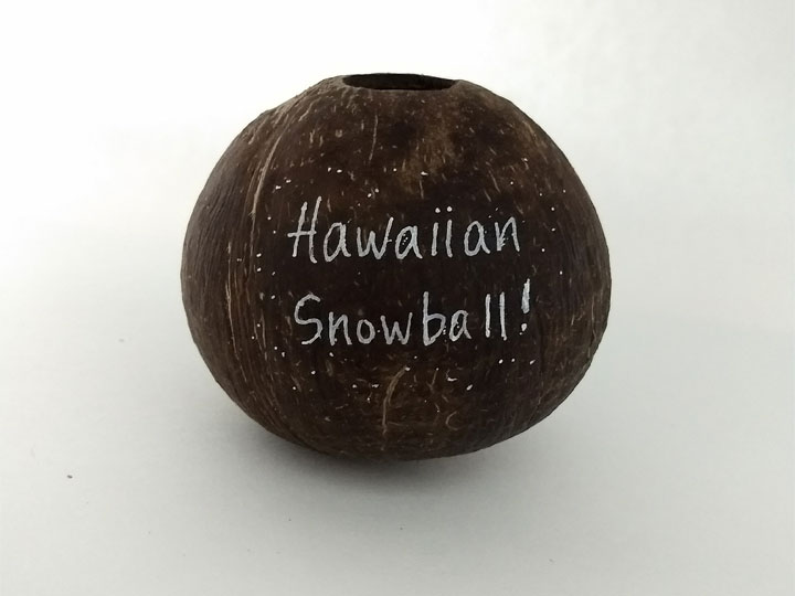 Snowball hollow coconut gag gift.