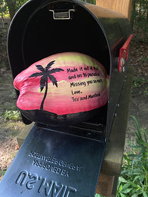 Mail a painted coconut