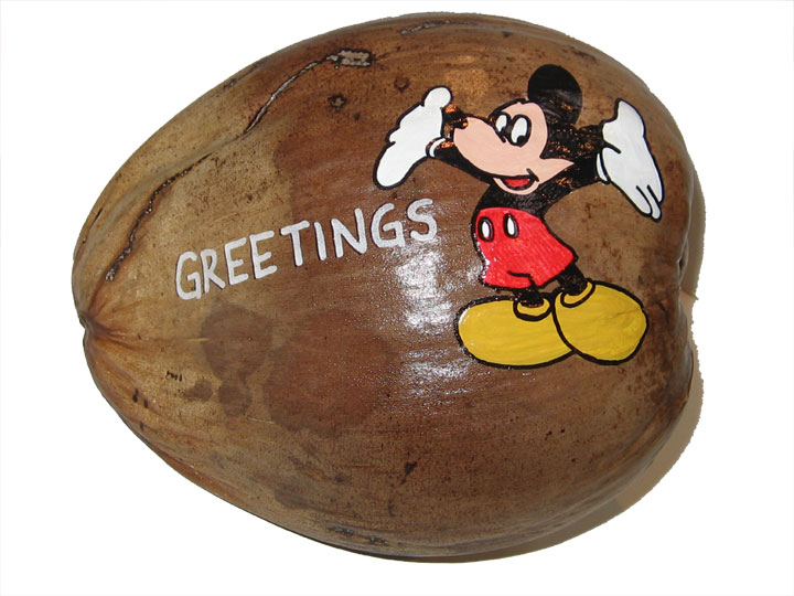 Custom artwork paintings on coconuts