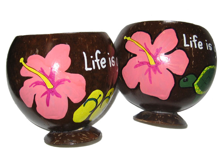 Personalized hand painted gift coconut cups