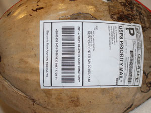 can you send a coconut in the mail