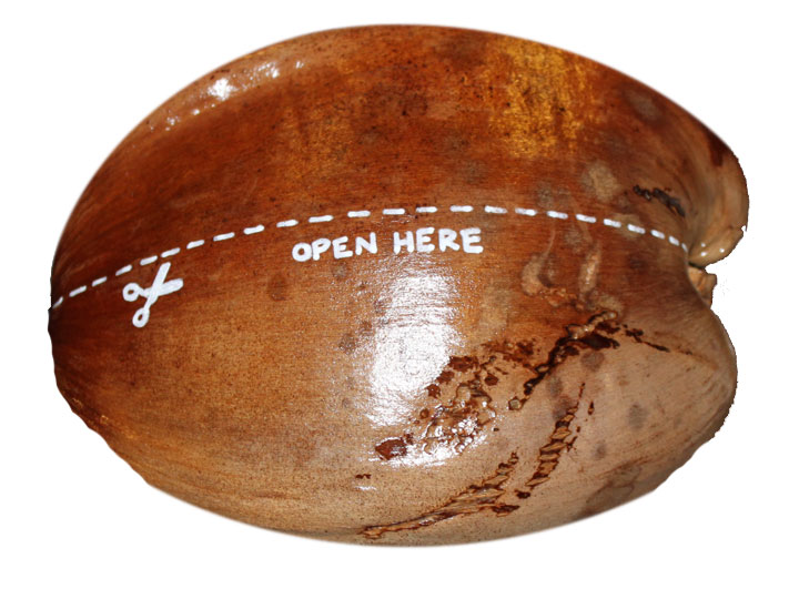 Hand Painted Coconuts are made in the USA