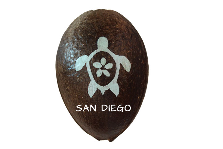 Coastal theme coconut table top display or hang as an ornament