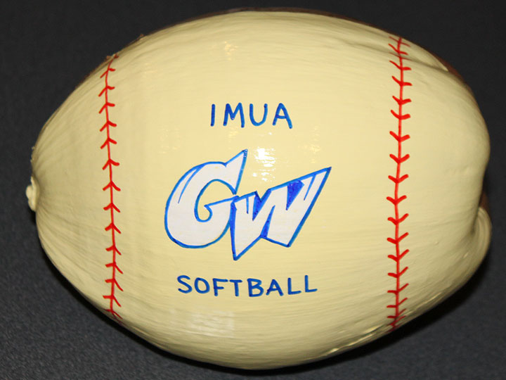 Softball painted coconut
