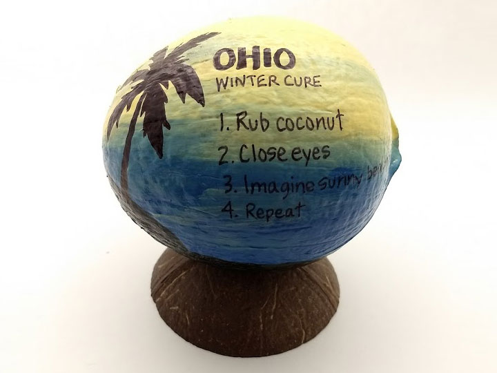 The cure for winter painted coconut gag gift