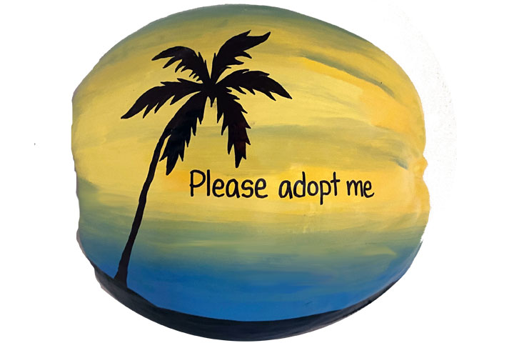 Adopt your own Hand Painted Coconut