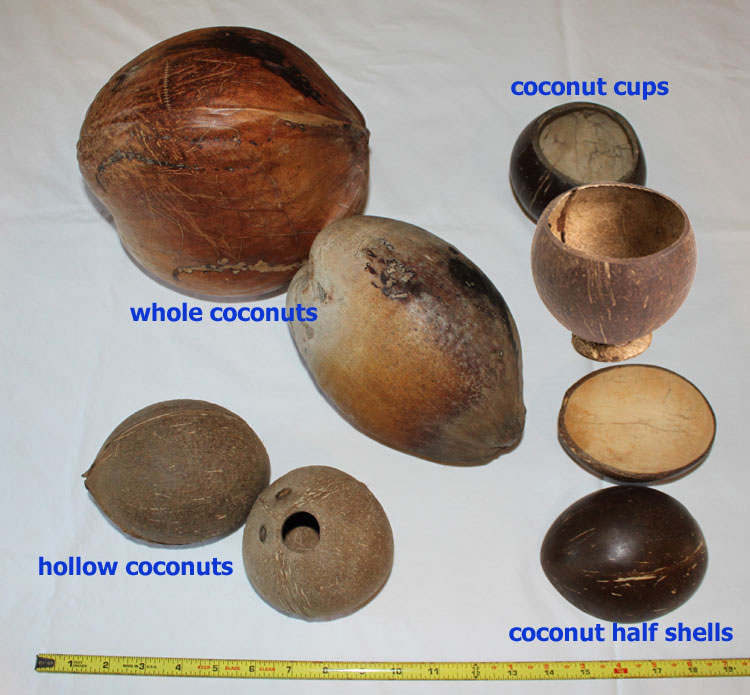 How to Make Cups From Coconut Shells