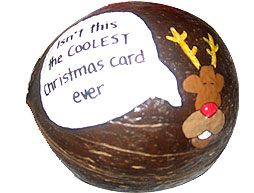 Personalized hand painted coconuts for holiday gifts