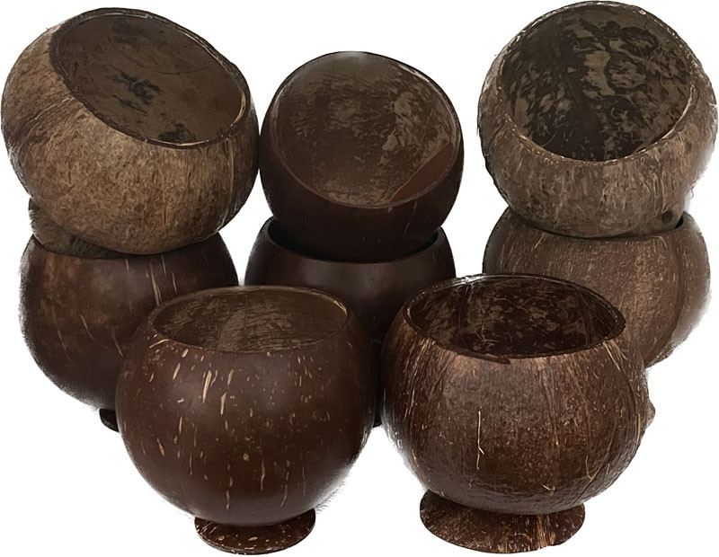 Coconut Cup Unpainted 30-pack