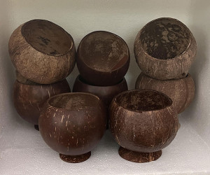 Coconut Cup Unpainted 8-pack