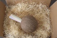 Tropical Mailer with Hollow Coconut and Excelsior Packing - Product Image