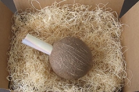 Tropical Mailer with Hollow Coconut and Excelsior Packing