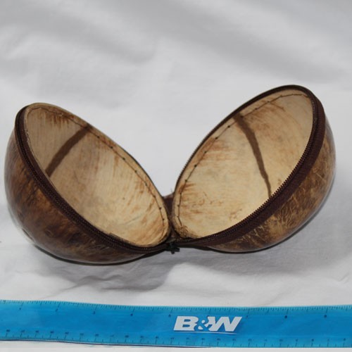 Zippered Coconut
